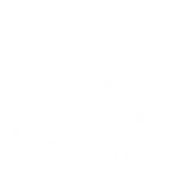 LENIENS Natural