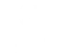LENIENS Natural